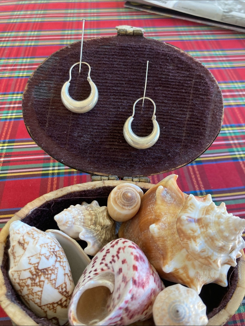 Sterling Silver Hoops